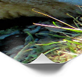 羊 ポスター (コーナー)