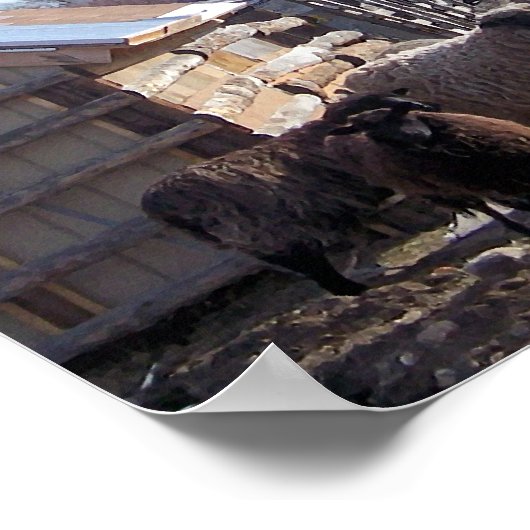 羊 ポスター (角)