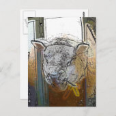 羊 ポストカード (正面/裏面)