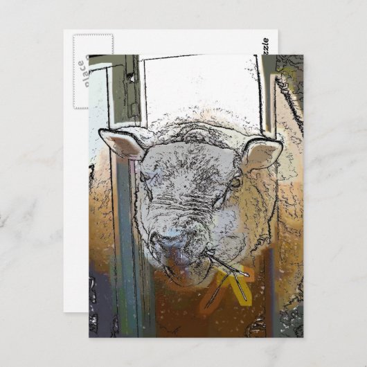 羊 ポストカード (正面/裏面)