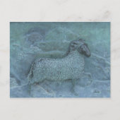 羊 ポストカード (正面)