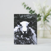 羊 ポストカード (スタンド正面)