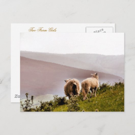 羊 ポストカード (正面/裏面)