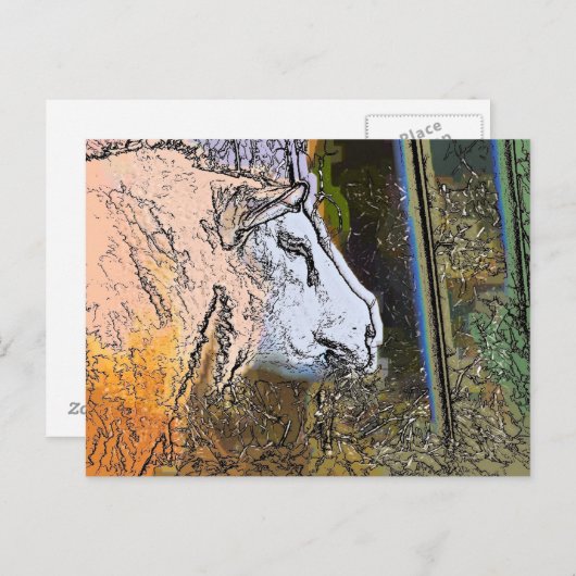 羊 ポストカード (正面/裏面)