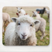 羊 マウスパッド (正面)