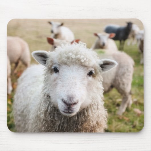 羊 マウスパッド (正面)