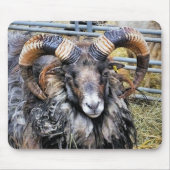 羊 マウスパッド (正面)