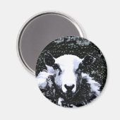 羊 マグネット (正面/裏面)