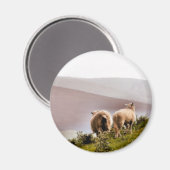 羊 マグネット (正面/裏面)