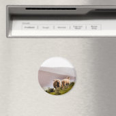 羊 マグネット (インサイチュ (食洗機))