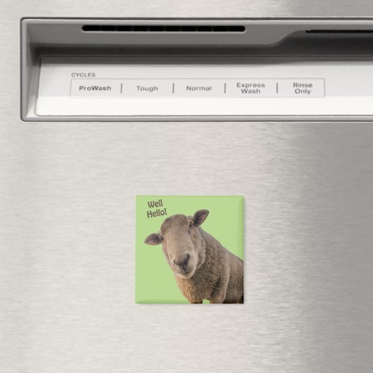 羊 マグネット (インサイチュ (食洗機))