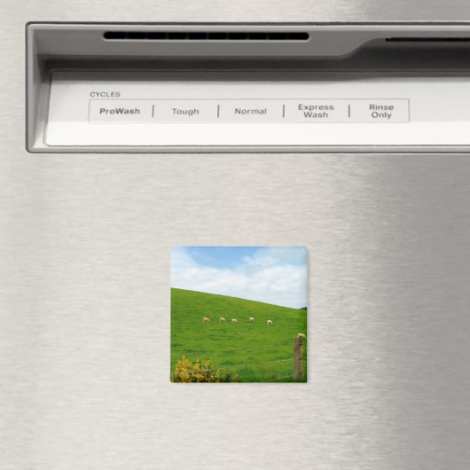 羊！ マグネット (インサイチュ (食洗機))