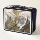 羊 メタルランチボックス (裏面)