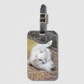 羊 ラゲッジタグ (正面縦)