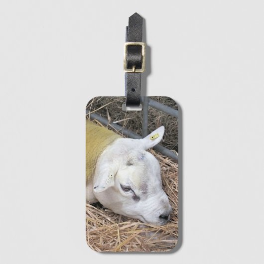 羊 ラゲッジタグ (正面縦)