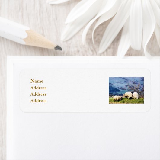 羊 ラベル (インサイチュ)