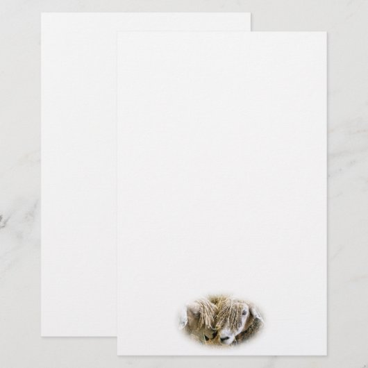 羊 便箋 (正面/裏面)