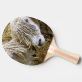 羊 卓球ラケット (横)