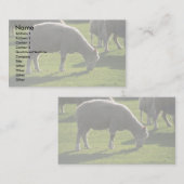 羊 名刺 (正面/裏面)