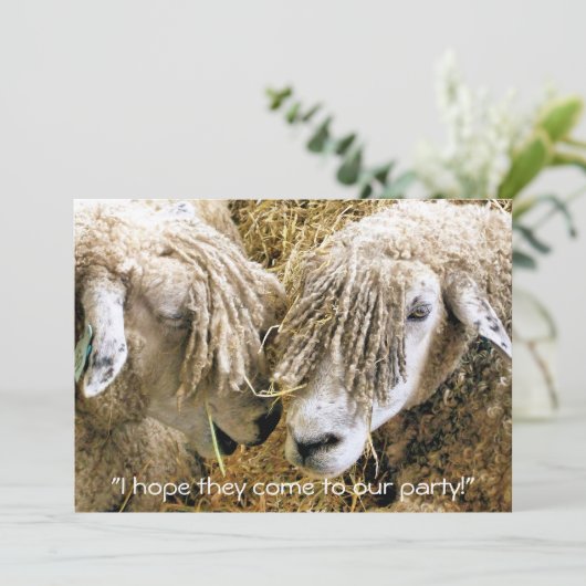 羊 招待状 (スタンド正面)