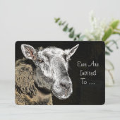 羊 招待状 (スタンド正面)