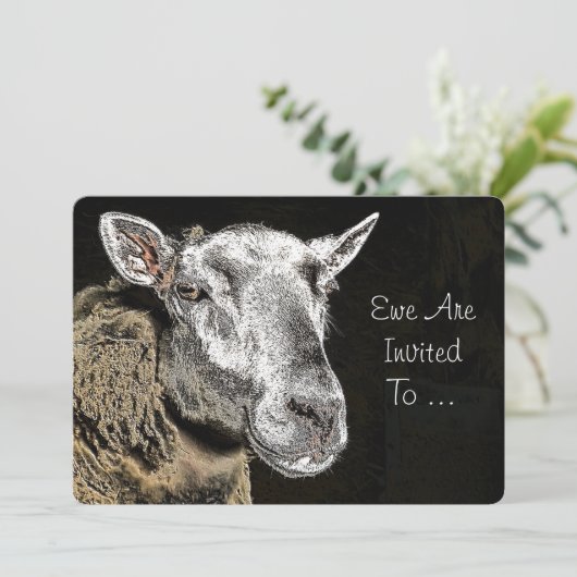 羊 招待状 (スタンド正面)