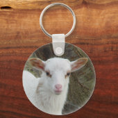 羊 – 白い子羊 キーホルダー (正面)