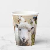 羊 紙コップ (裏面)