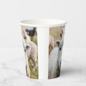 羊 紙コップ (右)