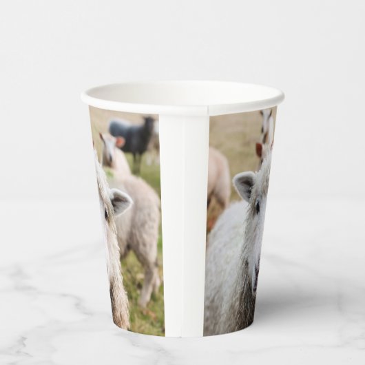 羊 紙コップ (右)