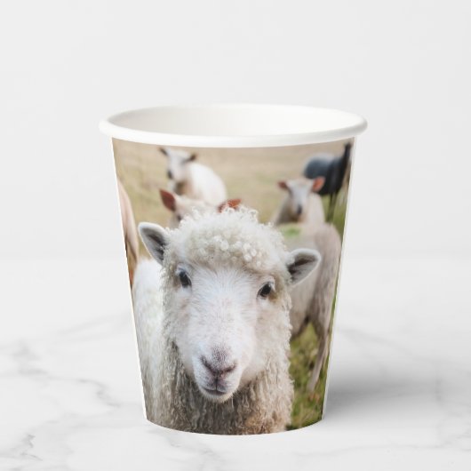羊 紙コップ (正面)