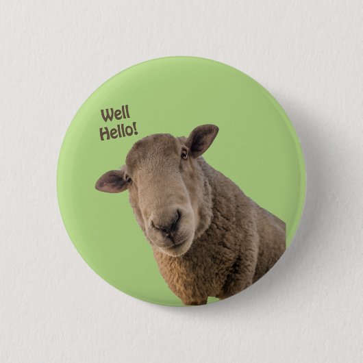 羊 缶バッジ (正面)