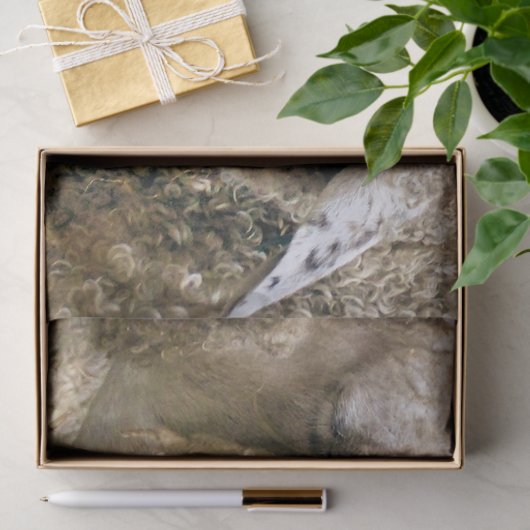 羊 薄葉紙 (ギフト)