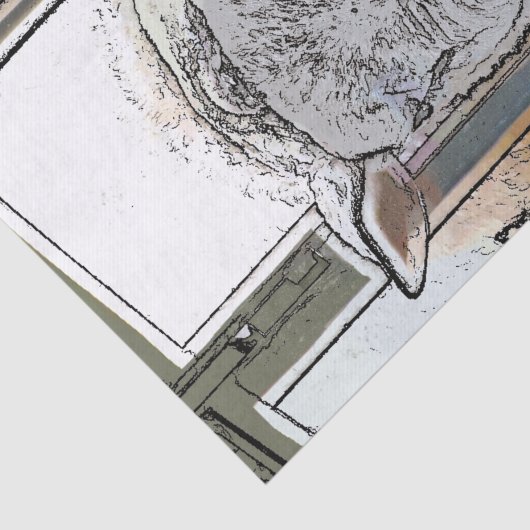 羊 薄葉紙 (詳細)