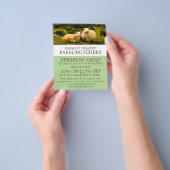 羊、農家&肉屋の広告 チラシ (手)