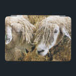羊 iPad MINIカバー<br><div class="desc">2つの美しいコッツウォルドの羊は、互いに話し合おもしろいうユーモアのあると瞬間に写真撮影した。コッツウォルドの羊はイギリスのコッツウォルドから生まれ、羊毛と肉のために飼育されている。彼らはそれにほぼ黄金色の色合いを持つ長いフリースがある。</div>