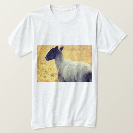 羊 Tシャツ (デザイン正面)