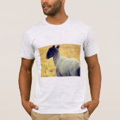 羊 Tシャツ (正面)