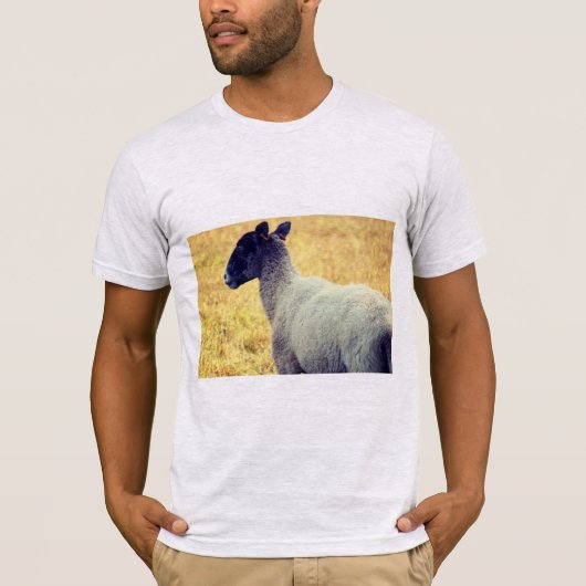 羊 Tシャツ (正面)