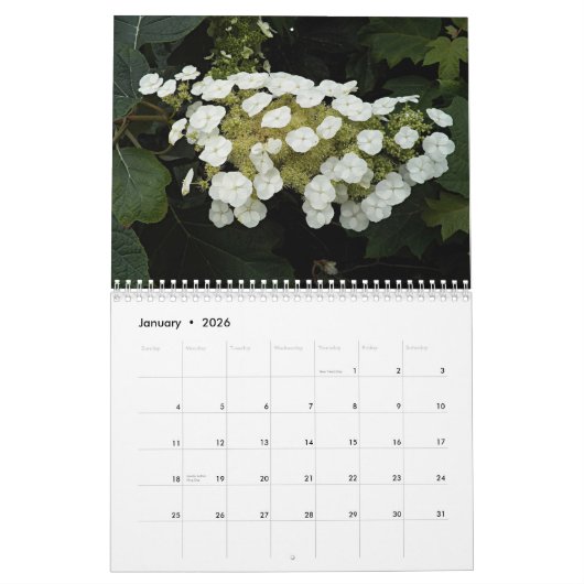 美しいあじさい開花フローラ写真 カレンダー (1月 2026)