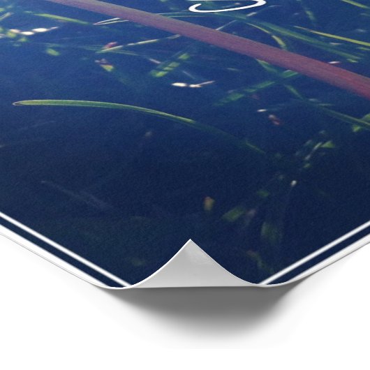 美しいあり ポスター (角)