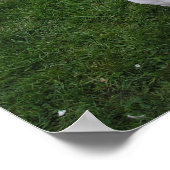 美しいいじめっ子イギリスのブルテリアのポスター ポスター (角)