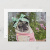 美しいおしゃれな中国のイメージ ポストカード (正面/裏面)