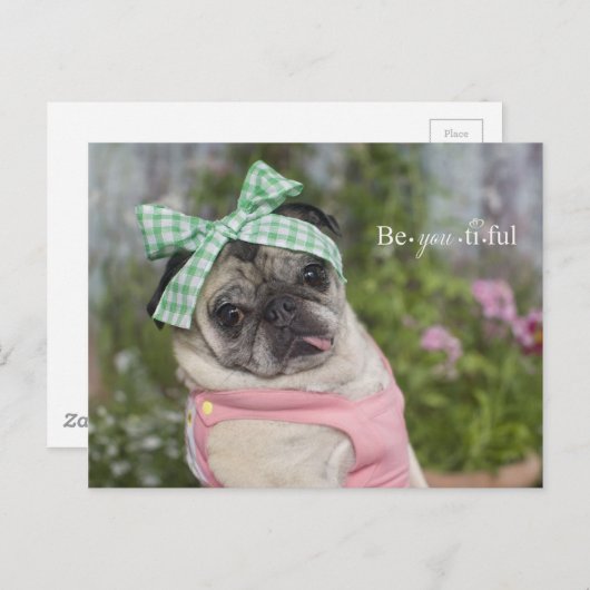 美しいおしゃれな中国のイメージ ポストカード (正面/裏面)