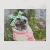 美しいおしゃれな中国のイメージ ポストカード (正面)