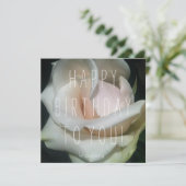 美しいお嬢さんへ！誕生日カード カード (スタンド正面)