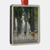 . .美しいかすれた犬の跡自然 メタルオーナメント (右)