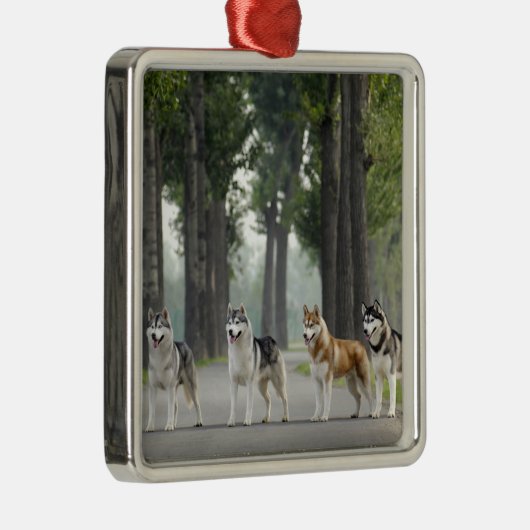 . .美しいかすれた犬の跡自然 メタルオーナメント (右)
