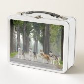 . .美しいかすれた犬の跡自然 メタルランチボックス (正面)