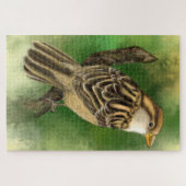 美しいかわいい小さな雀が絵画思い出し – ジグソーパズル (横)